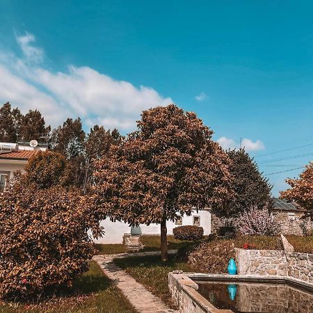 Вілла Windmill House Санта-Марія-да-Фейра Екстер'єр фото